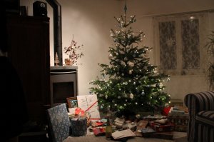 weihnachten 2013 084